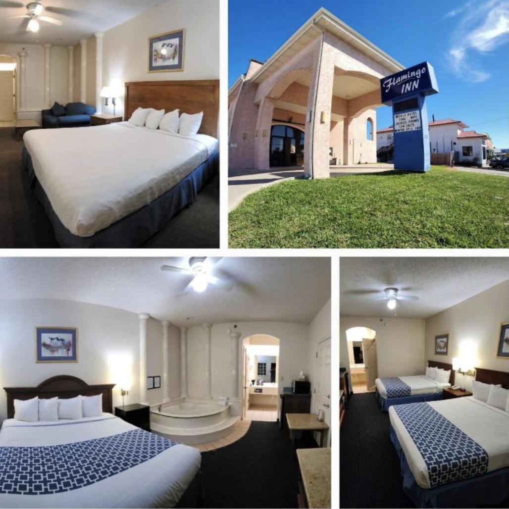 The Flamingo - South Padre Island 호텔 외부 사진